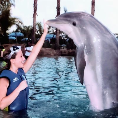 Dolphins at Discovery Cove is an unforgettable experience
